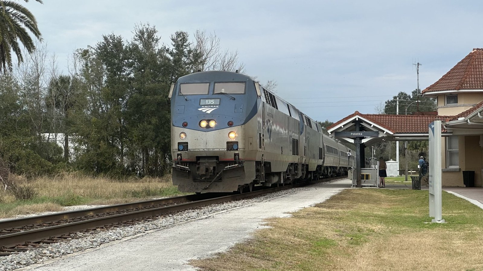 Passenger train arriving at a small station platform beneath palm trees